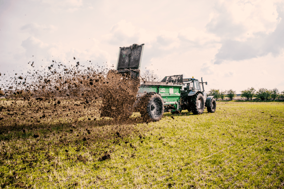 Bunning Manure Spreader Rear