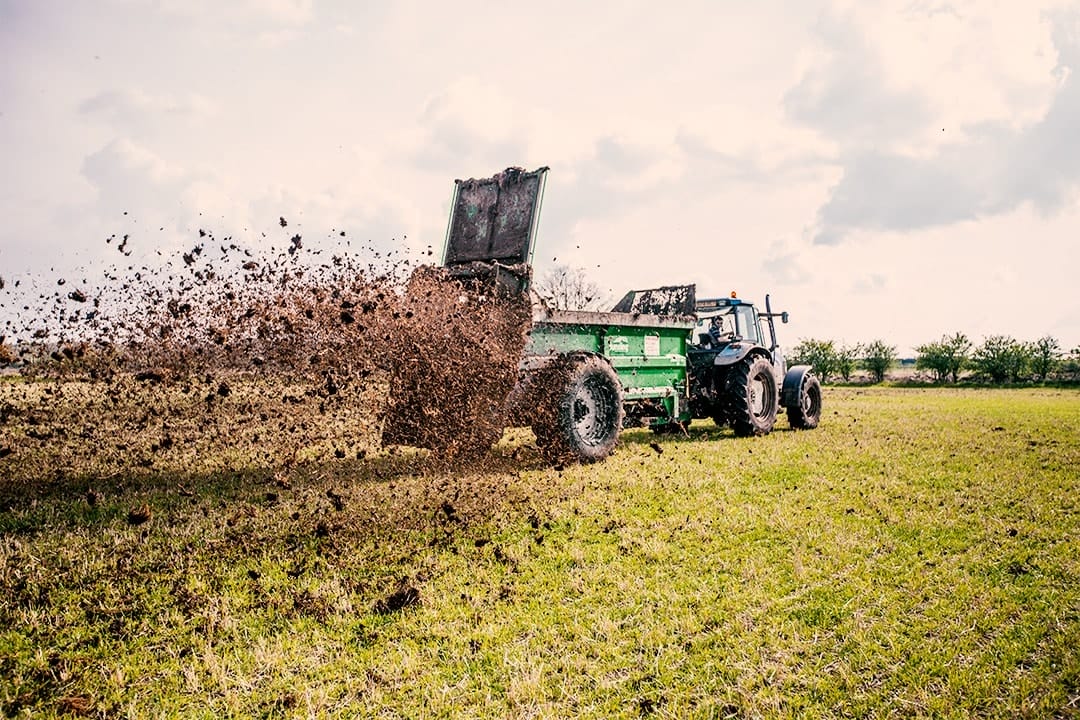 Bunning Muck Spreader Spreading Manure (Lime, Gypsum, Bulk material, manure, Compost)